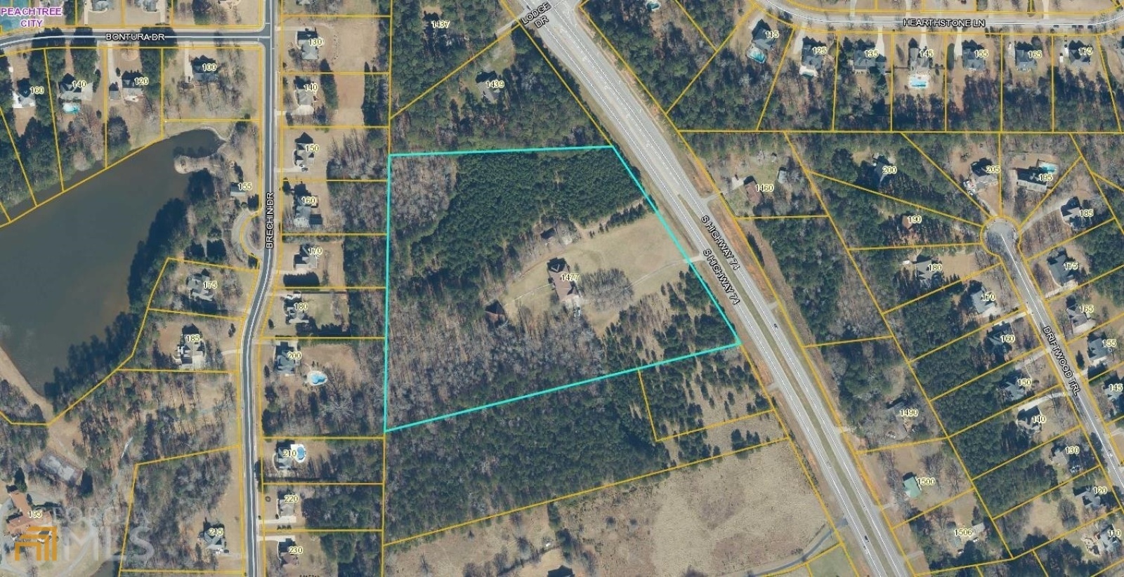 1477 Highway 74, Senoia, Georgia 30276, ,Commercial Sale,For Sale,Highway 74,9057630