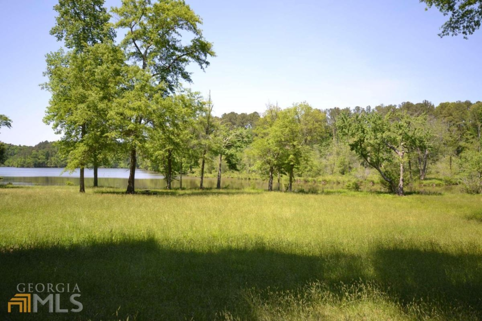 5960 Georgia Highway 120, Buchanan, Georgia 30113, ,Land,For Sale,Georgia Highway 120,9068870