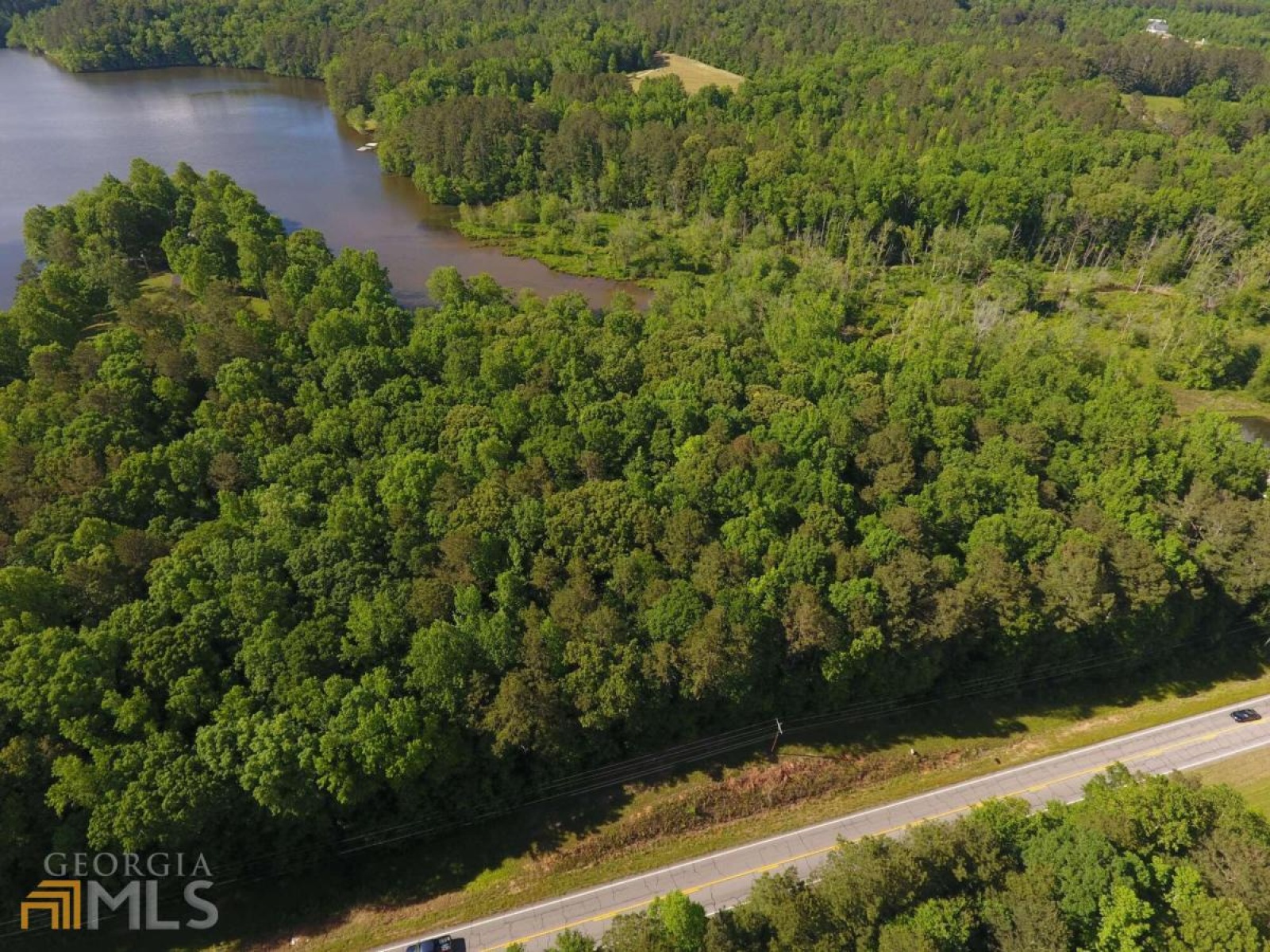 5960 Georgia Highway 120, Buchanan, Georgia 30113, ,Land,For Sale,Georgia Highway 120,9068870