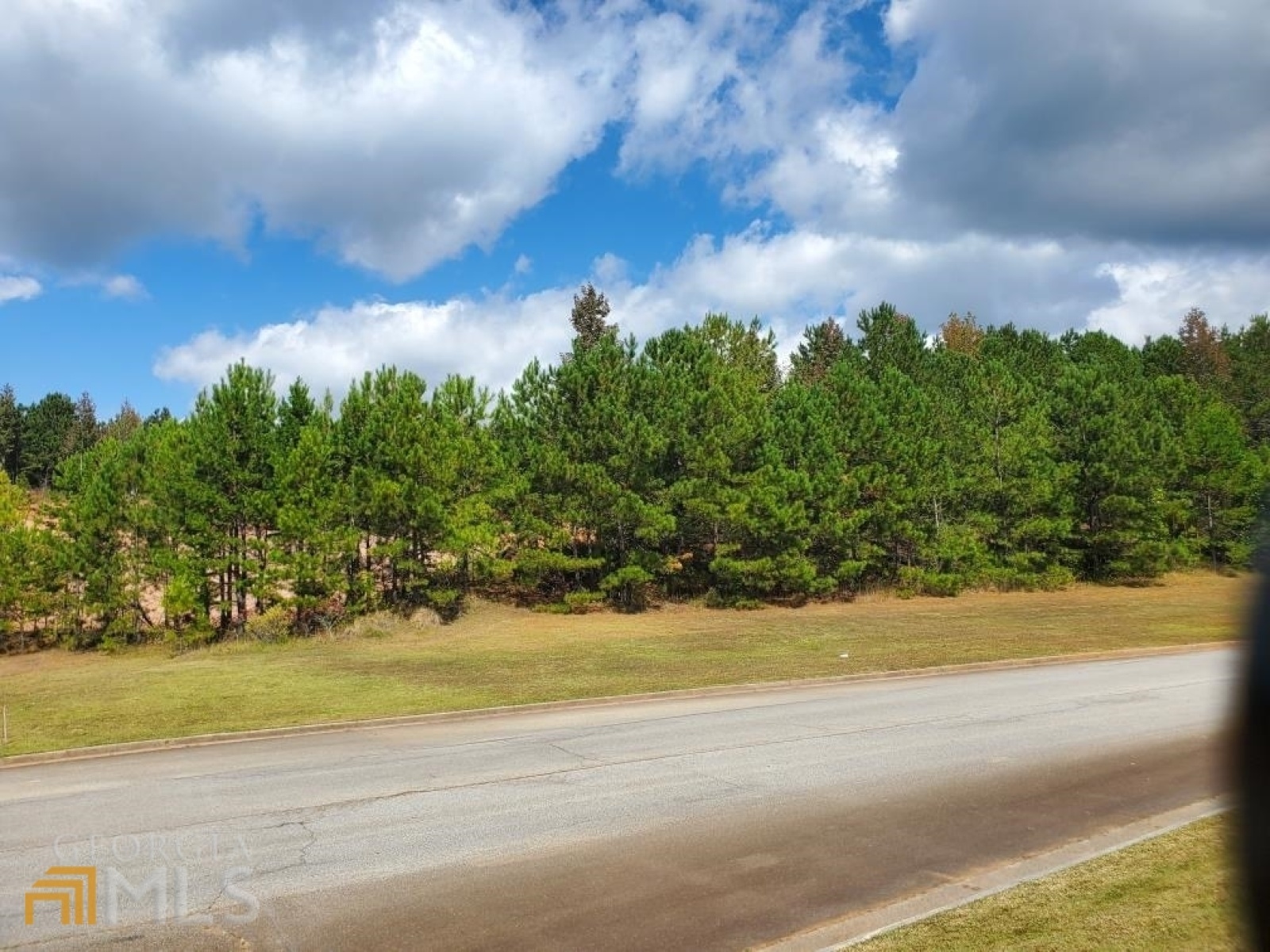 0 Stonebridge Boulevard, Bremen, Georgia 30110, ,Land,For Sale,Stonebridge,9119198