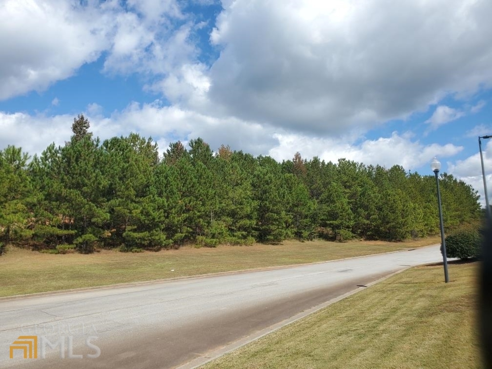 0 Stonebridge Boulevard, Bremen, Georgia 30110, ,Land,For Sale,Stonebridge,9119198