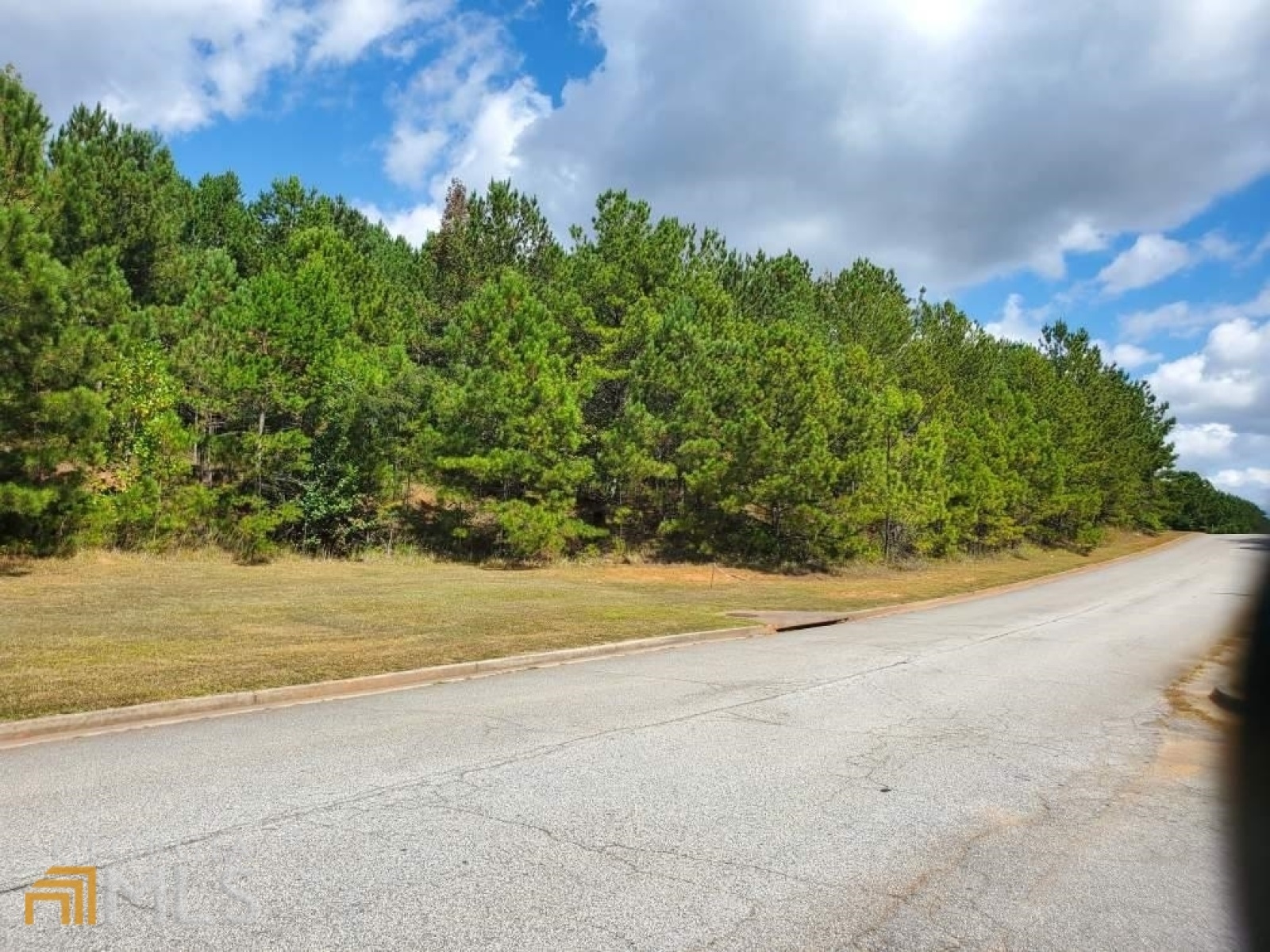 0 Stonebridge Boulevard, Bremen, Georgia 30110, ,Land,For Sale,Stonebridge,9119198