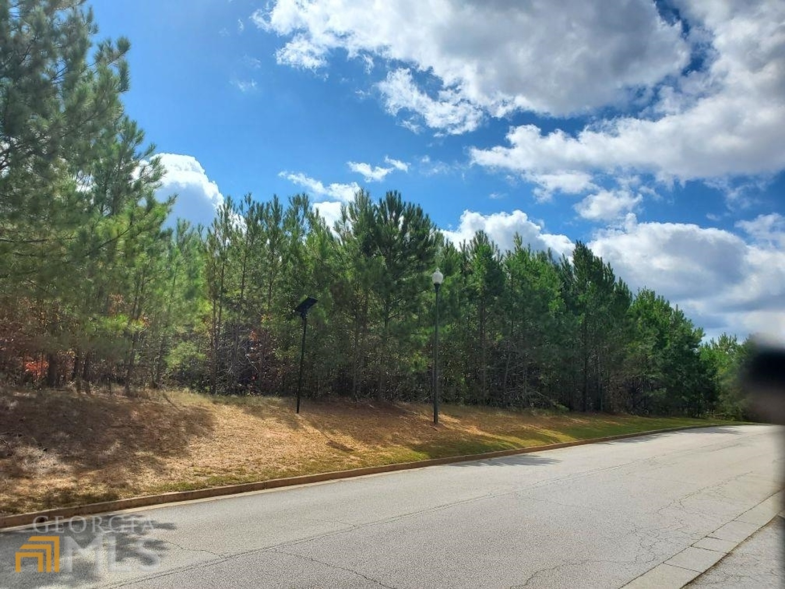 0 Stonebridge Boulevard, Bremen, Georgia 30110, ,Land,For Sale,Stonebridge,9119198