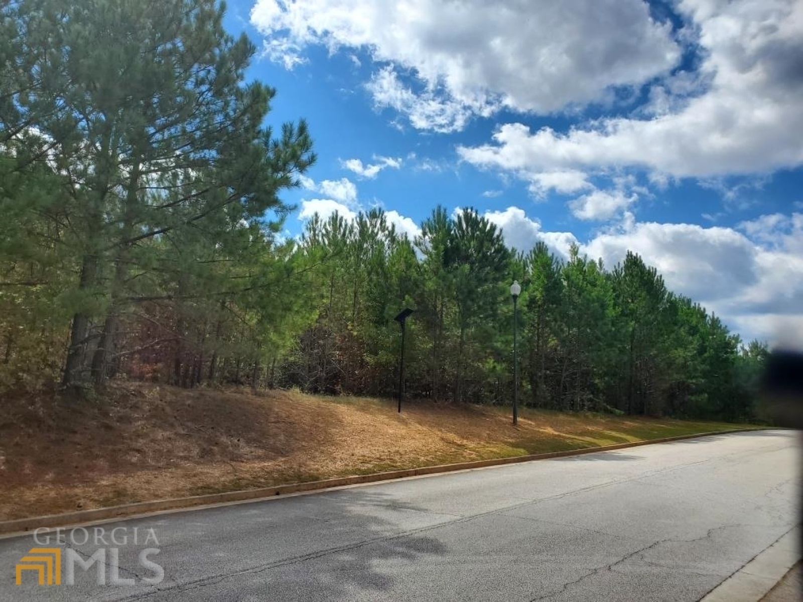 0 Stonebridge Boulevard, Bremen, Georgia 30110, ,Land,For Sale,Stonebridge,9119198