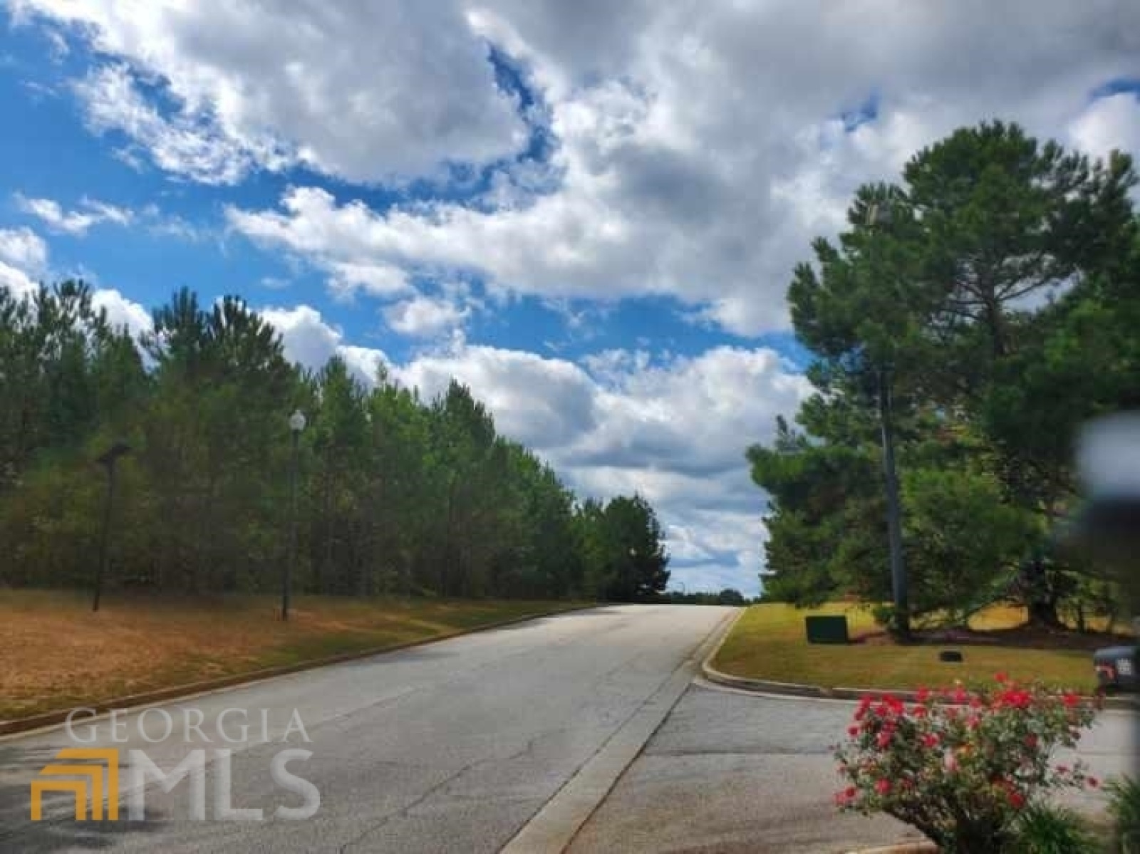 0 Stonebridge Boulevard, Bremen, Georgia 30110, ,Land,For Sale,Stonebridge,9119198