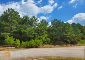 0 Stonebridge Boulevard, Bremen, Georgia 30110, ,Land,For Sale,Stonebridge,9119199