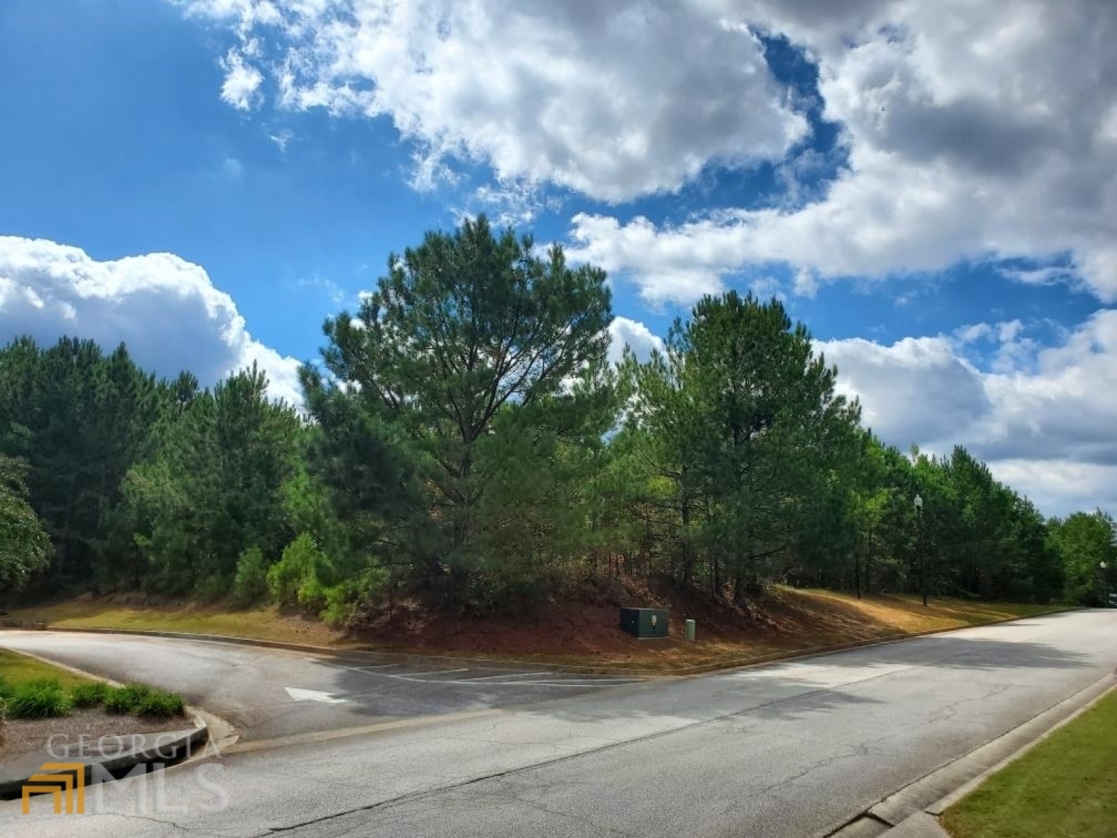 0 Stonebridge Boulevard, Bremen, Georgia 30110, ,Land,For Sale,Stonebridge,9119199