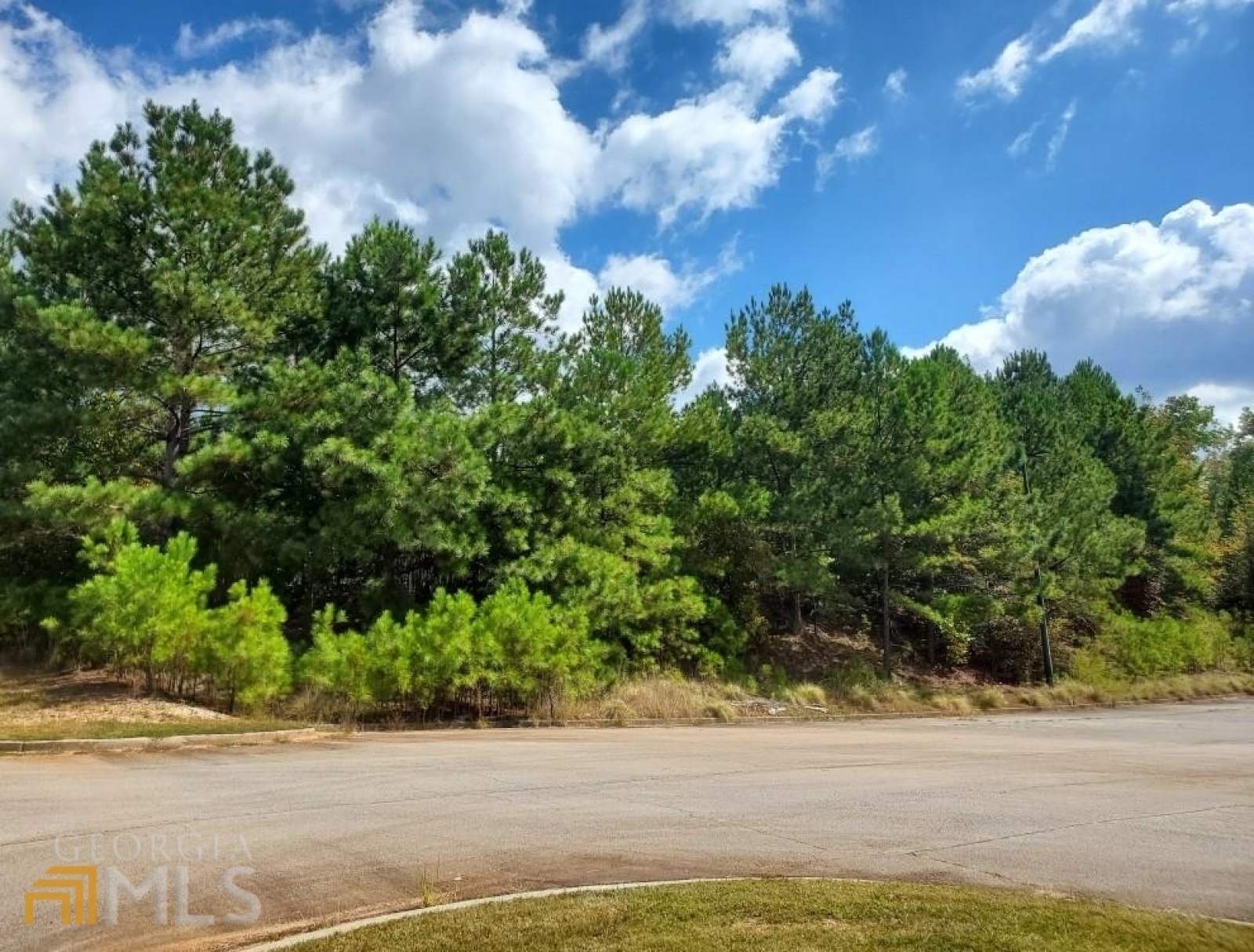 0 Stonebridge Boulevard, Bremen, Georgia 30110, ,Land,For Sale,Stonebridge,9119199