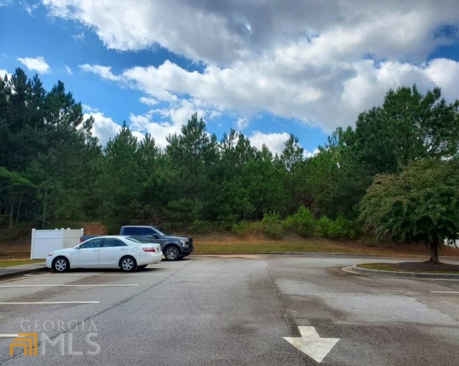 0 Stonebridge Boulevard, Bremen, Georgia 30110, ,Land,For Sale,Stonebridge,9119199