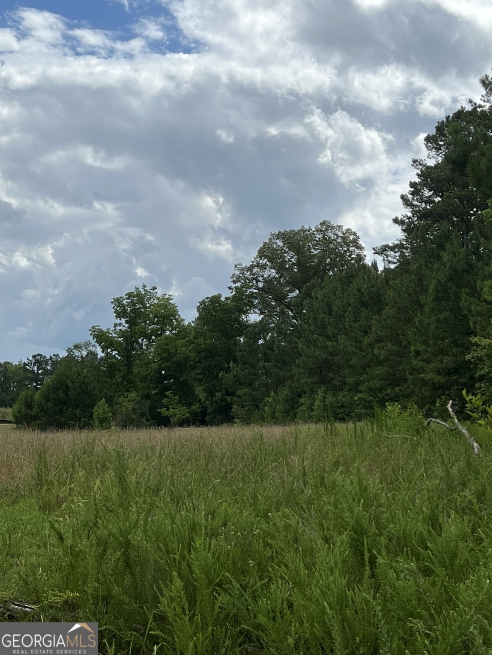 LOT 1 Bear Creek Road, Moreland, Georgia 30259, ,Land,For Sale,Bear Creek,9123350