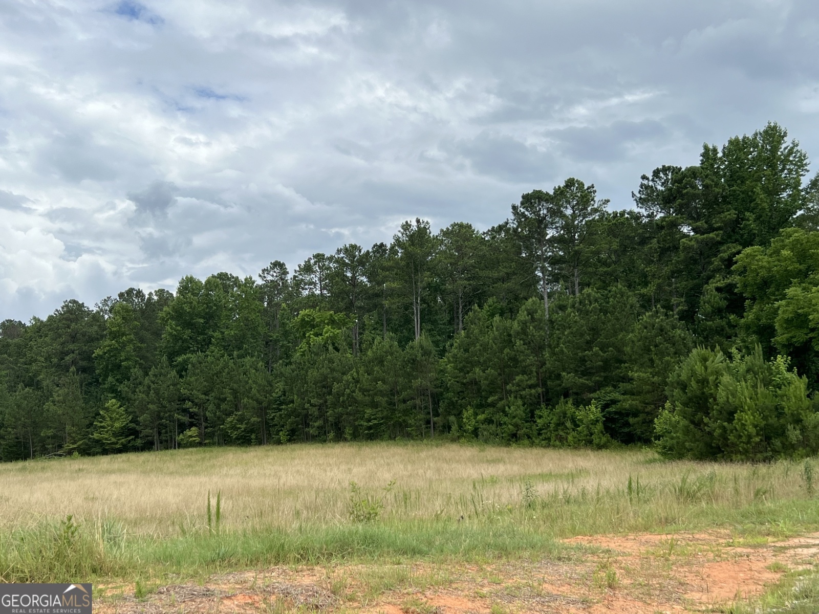 LOT 1 Bear Creek Road, Moreland, Georgia 30259, ,Land,For Sale,Bear Creek,9123350