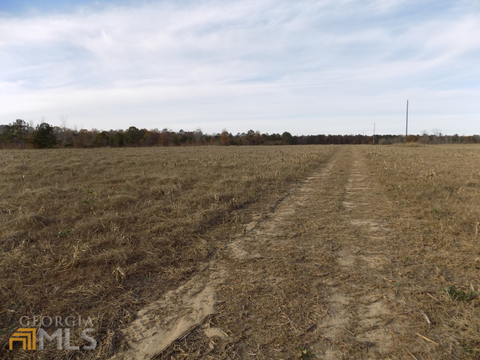 0 Pierce Road, Waverly Hall, Georgia 31831, ,Land,For Sale,Pierce,9125247