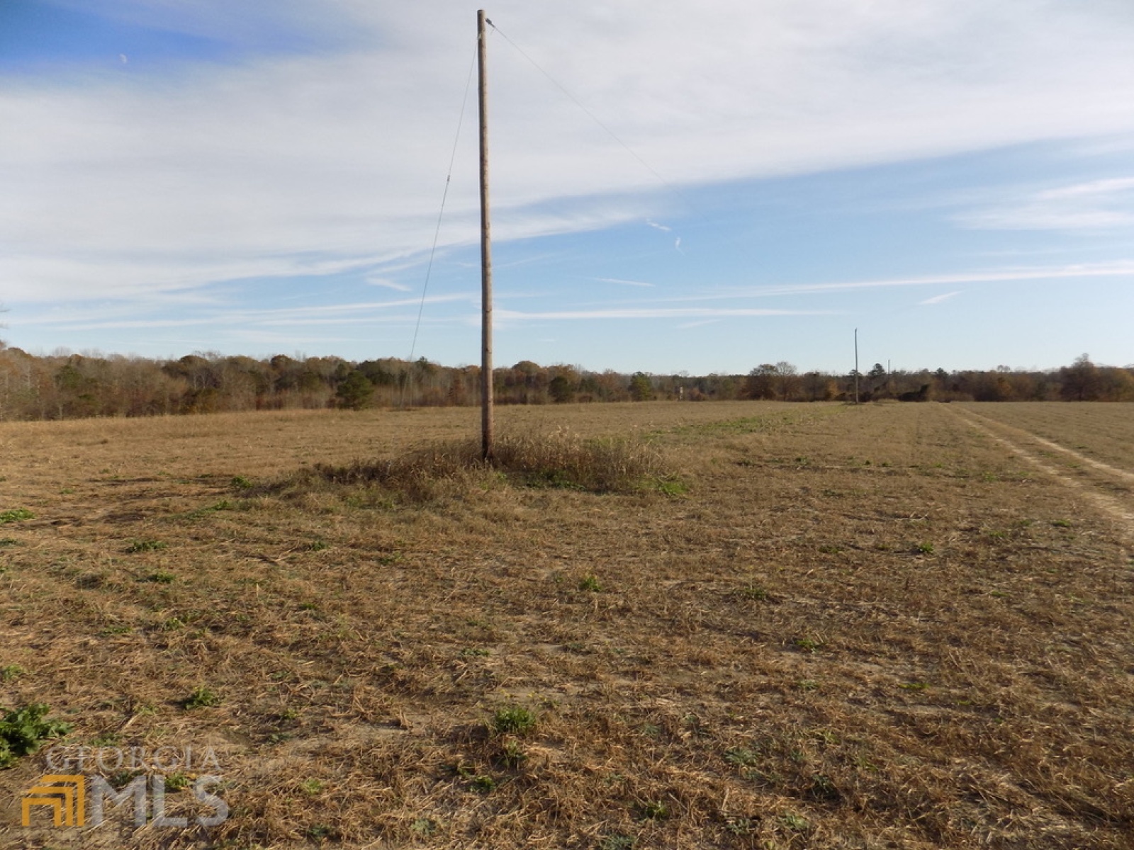 0 Pierce Road, Waverly Hall, Georgia 31831, ,Land,For Sale,Pierce,9125247