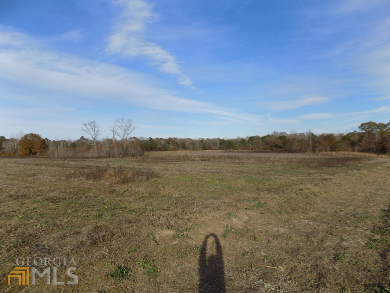 0 Pierce Road, Waverly Hall, Georgia 31831, ,Land,For Sale,Pierce,9125247