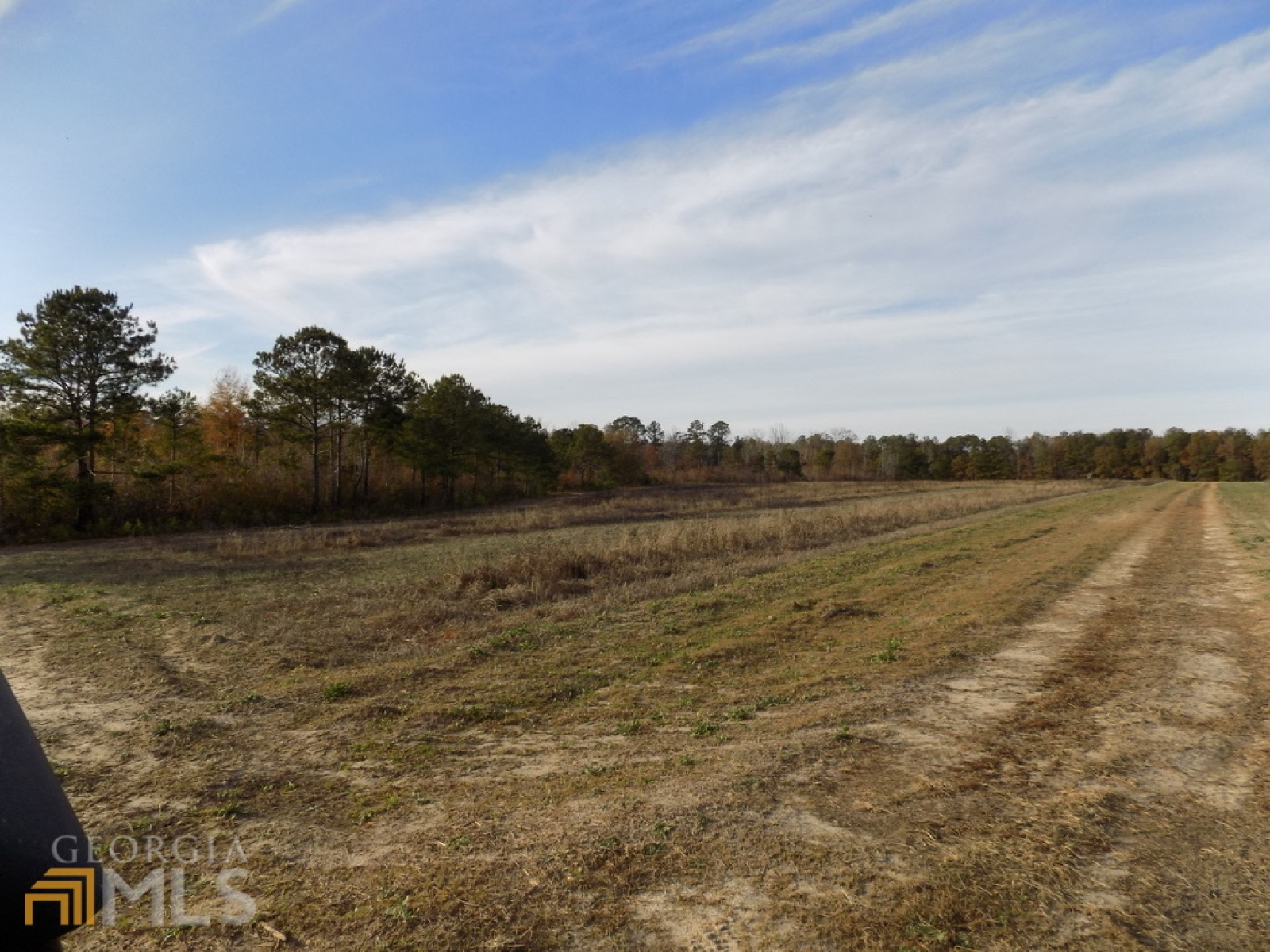 0 Pierce Road, Waverly Hall, Georgia 31831, ,Land,For Sale,Pierce,9125247