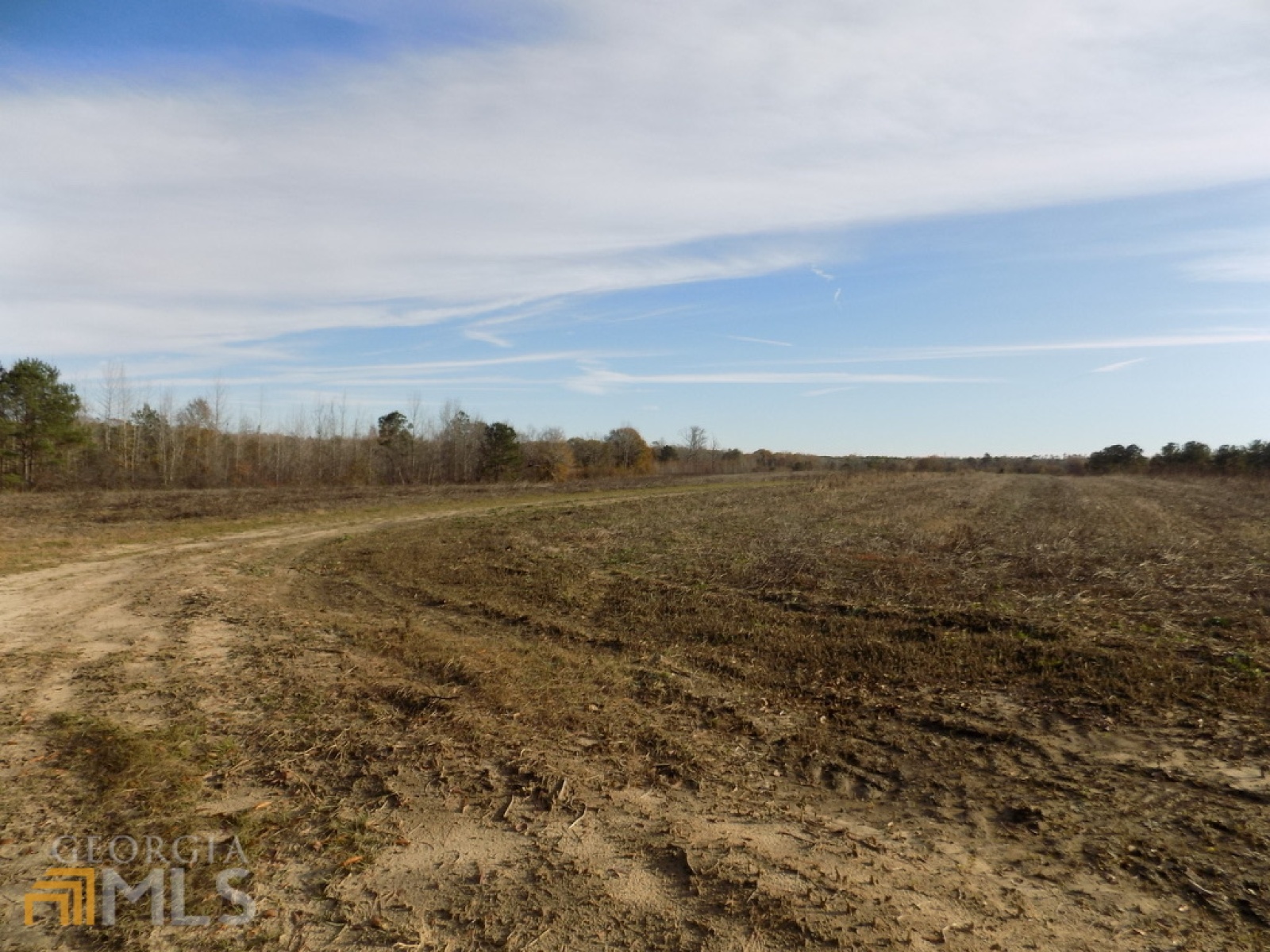 0 Pierce Road, Waverly Hall, Georgia 31831, ,Land,For Sale,Pierce,9125247