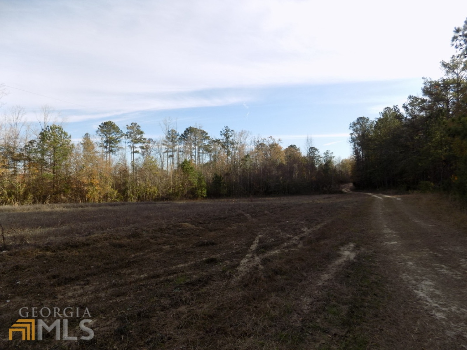 0 Pierce Road, Waverly Hall, Georgia 31831, ,Land,For Sale,Pierce,9125247