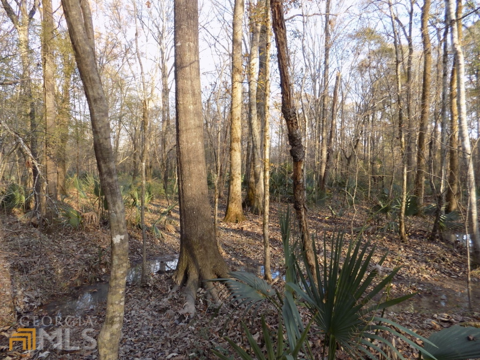 0 Pierce Road, Waverly Hall, Georgia 31831, ,Land,For Sale,Pierce,9125247