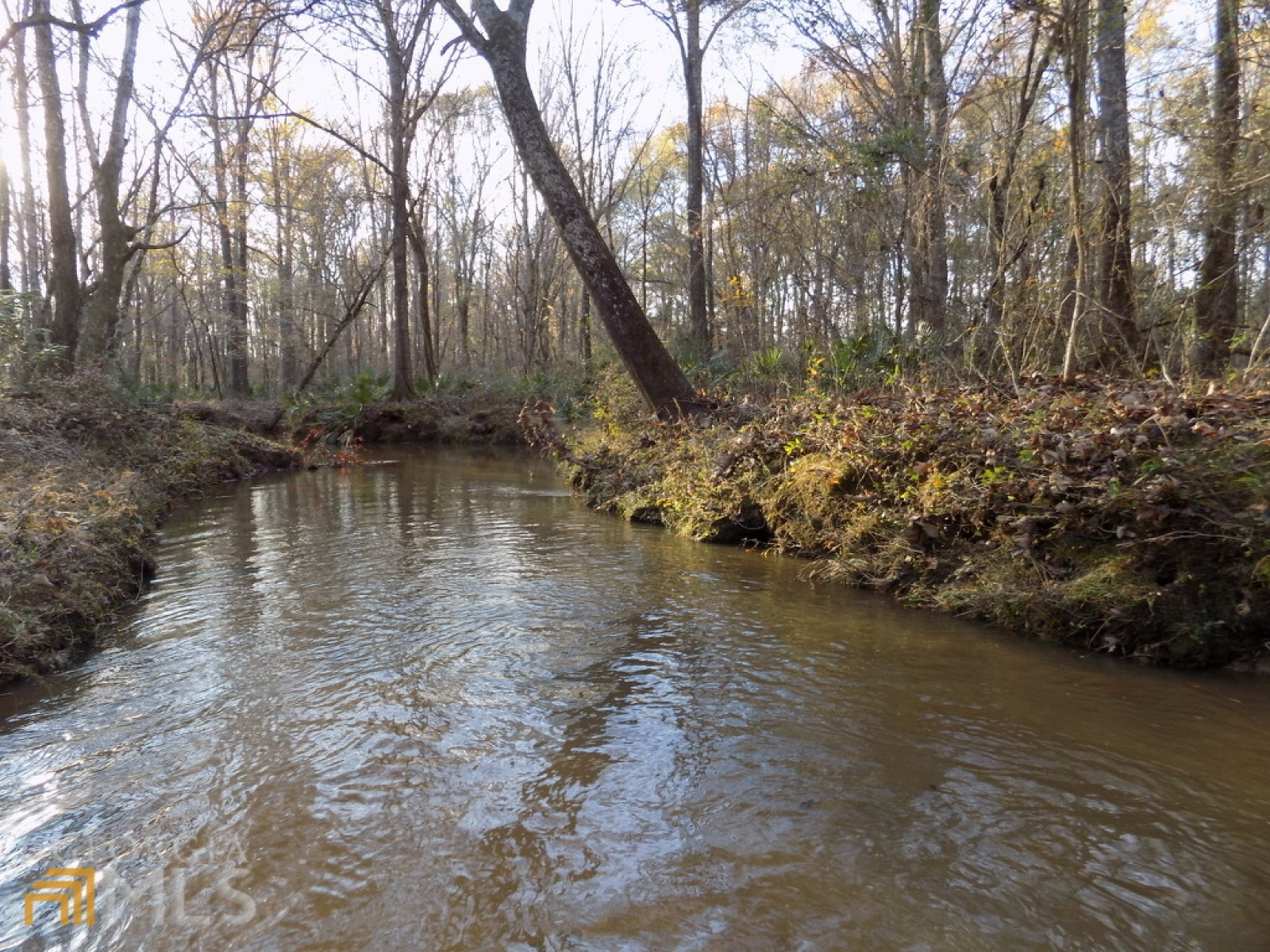 0 Pierce Road, Waverly Hall, Georgia 31831, ,Land,For Sale,Pierce,9125247