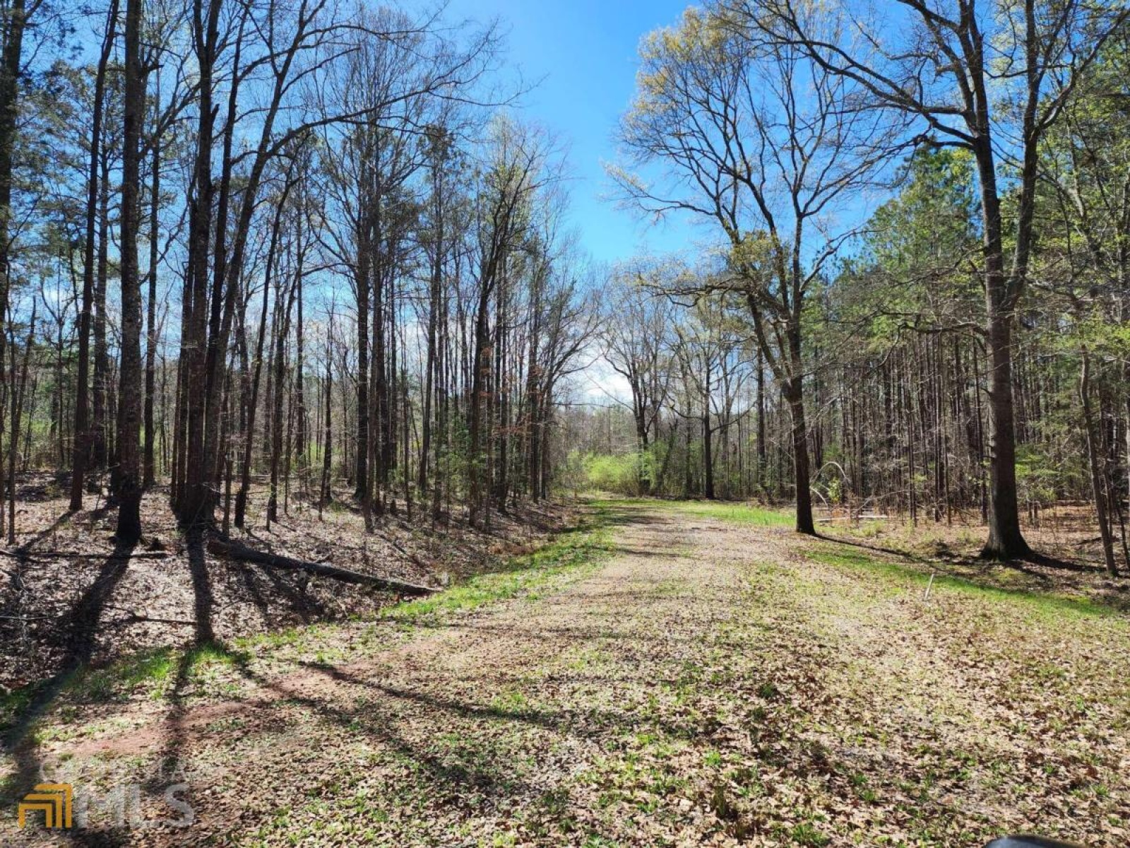 LOT 11, 12, 13 Deer Ridge Drive, Hamilton, Georgia 31811, ,Land,For Sale,Deer Ridge,9125634