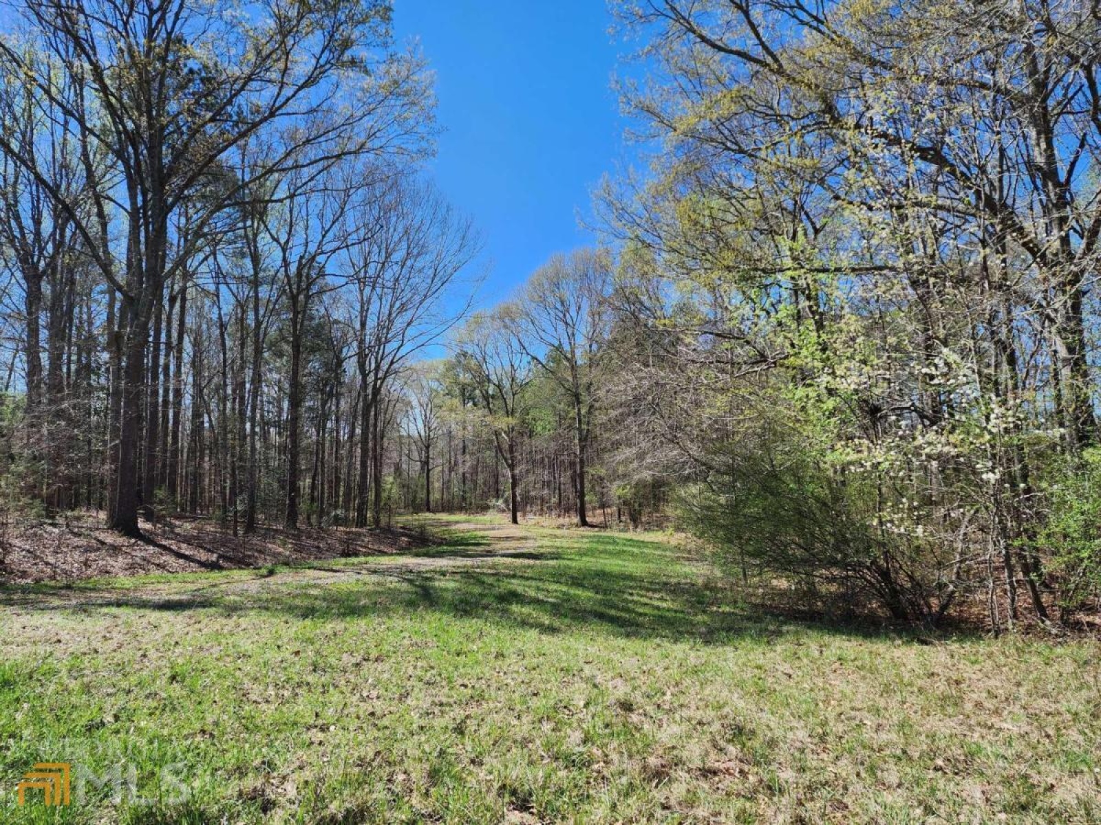 LOT 11, 12, 13 Deer Ridge Drive, Hamilton, Georgia 31811, ,Land,For Sale,Deer Ridge,9125634