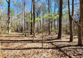 LOT 11, 12, 13 Deer Ridge Drive, Hamilton, Georgia 31811, ,Land,For Sale,Deer Ridge,9125634