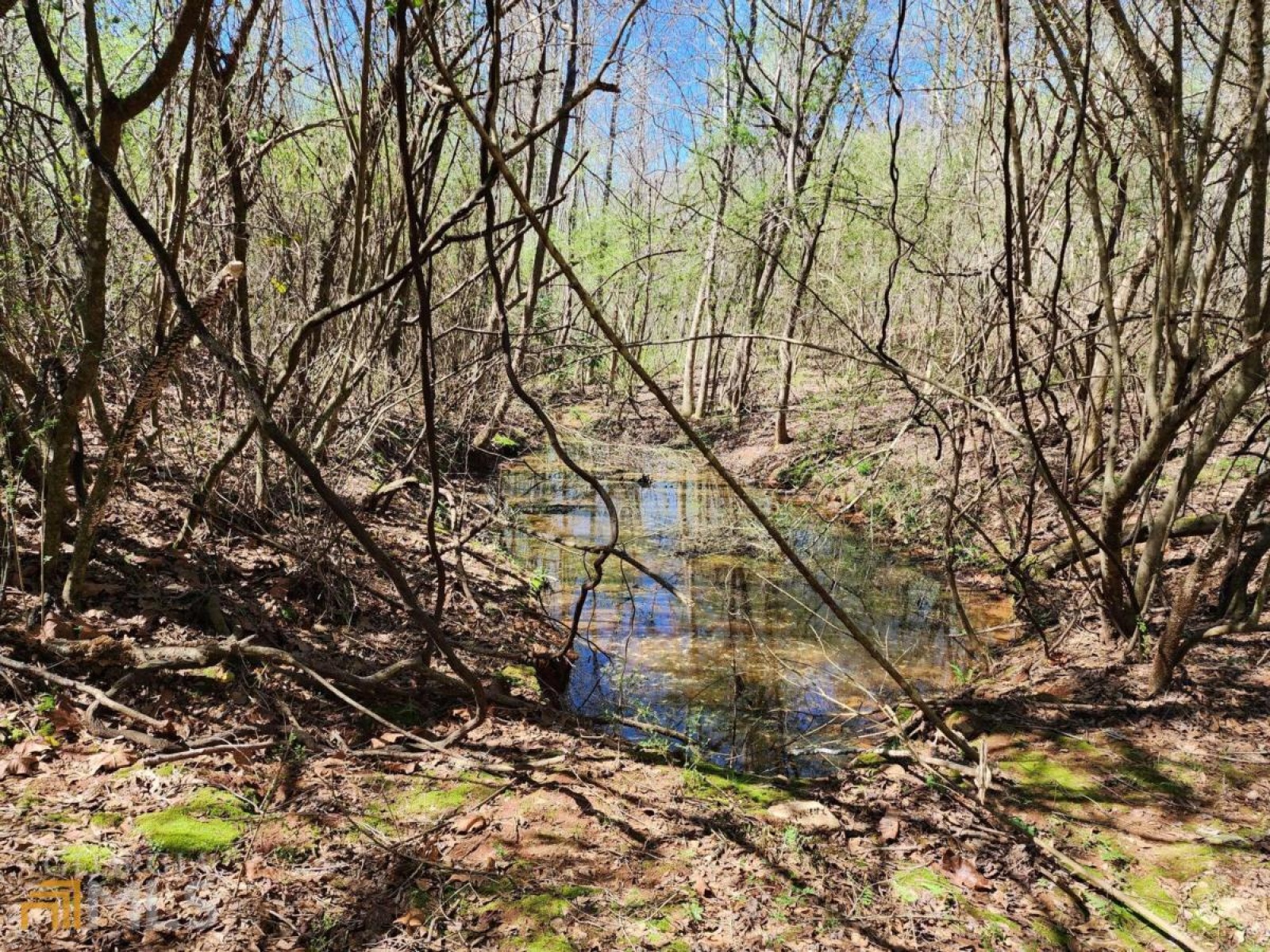 LOT 11, 12, 13 Deer Ridge Drive, Hamilton, Georgia 31811, ,Land,For Sale,Deer Ridge,9125634