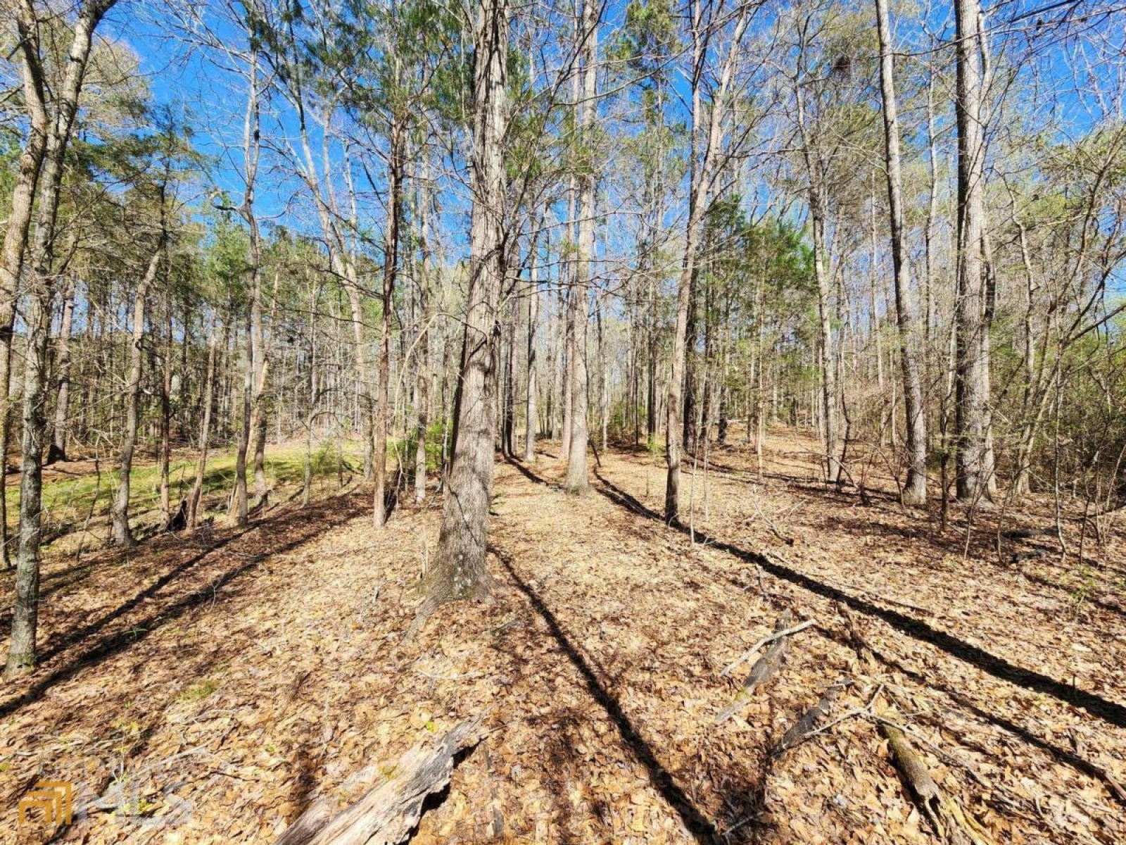 LOT 11, 12, 13 Deer Ridge Drive, Hamilton, Georgia 31811, ,Land,For Sale,Deer Ridge,9125634