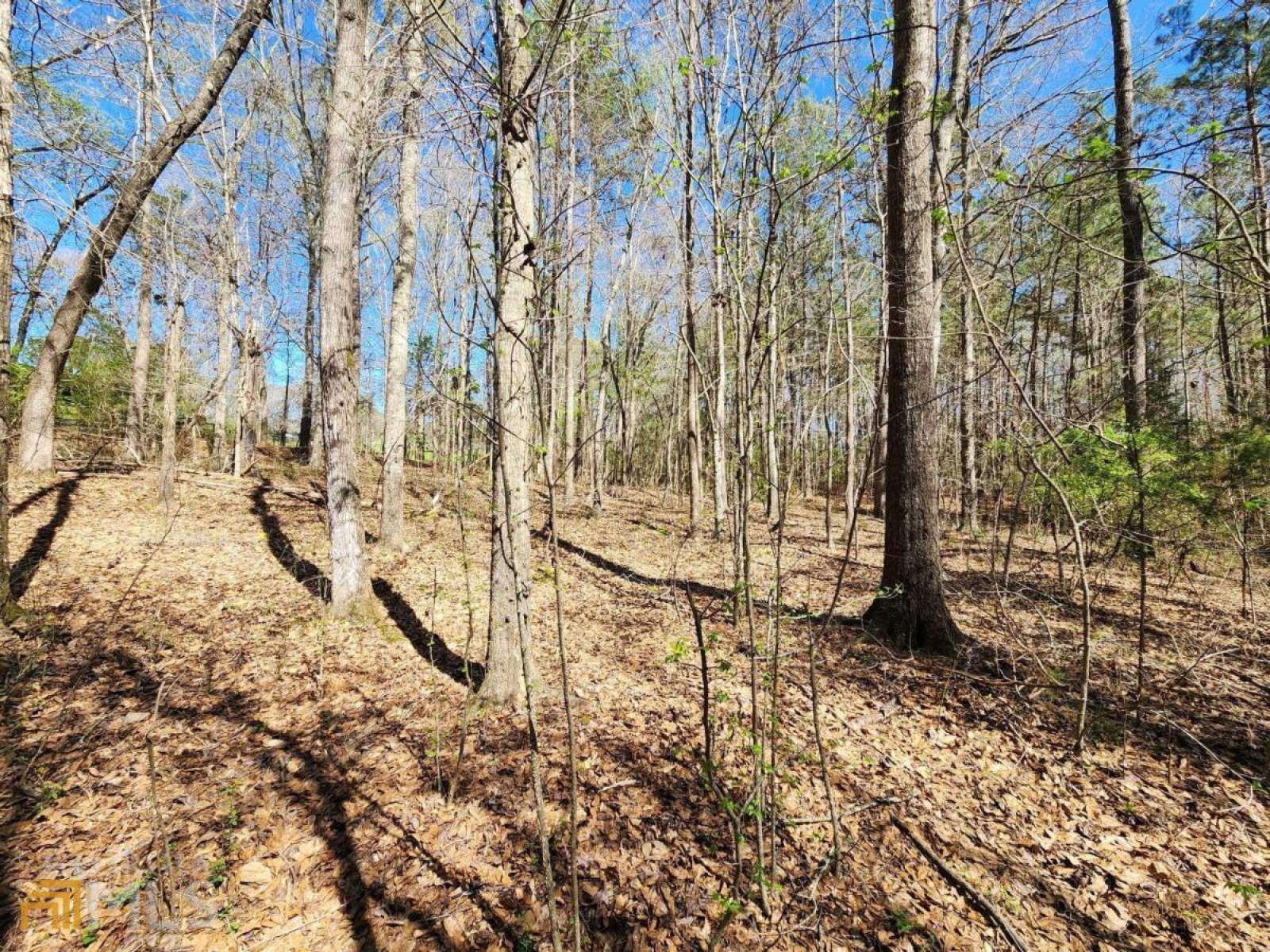 LOT 11, 12, 13 Deer Ridge Drive, Hamilton, Georgia 31811, ,Land,For Sale,Deer Ridge,9125634