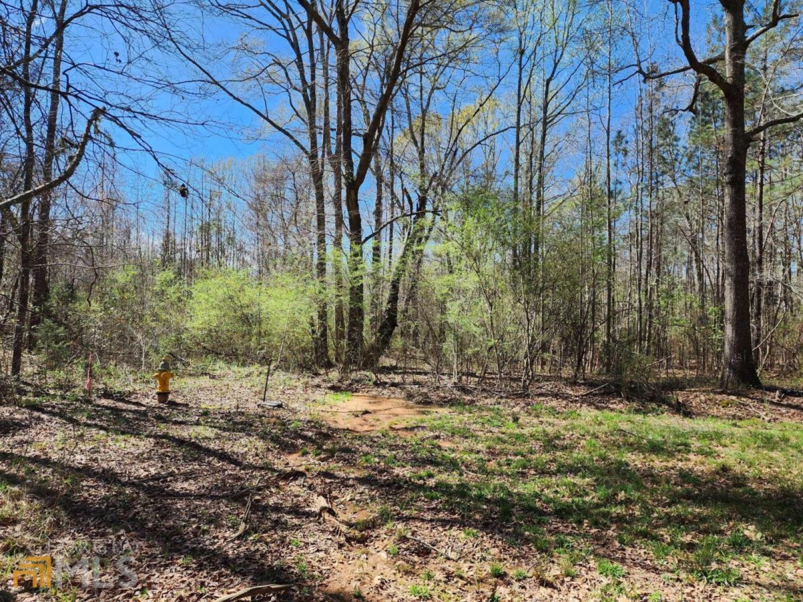 LOT 11, 12, 13 Deer Ridge Drive, Hamilton, Georgia 31811, ,Land,For Sale,Deer Ridge,9125634