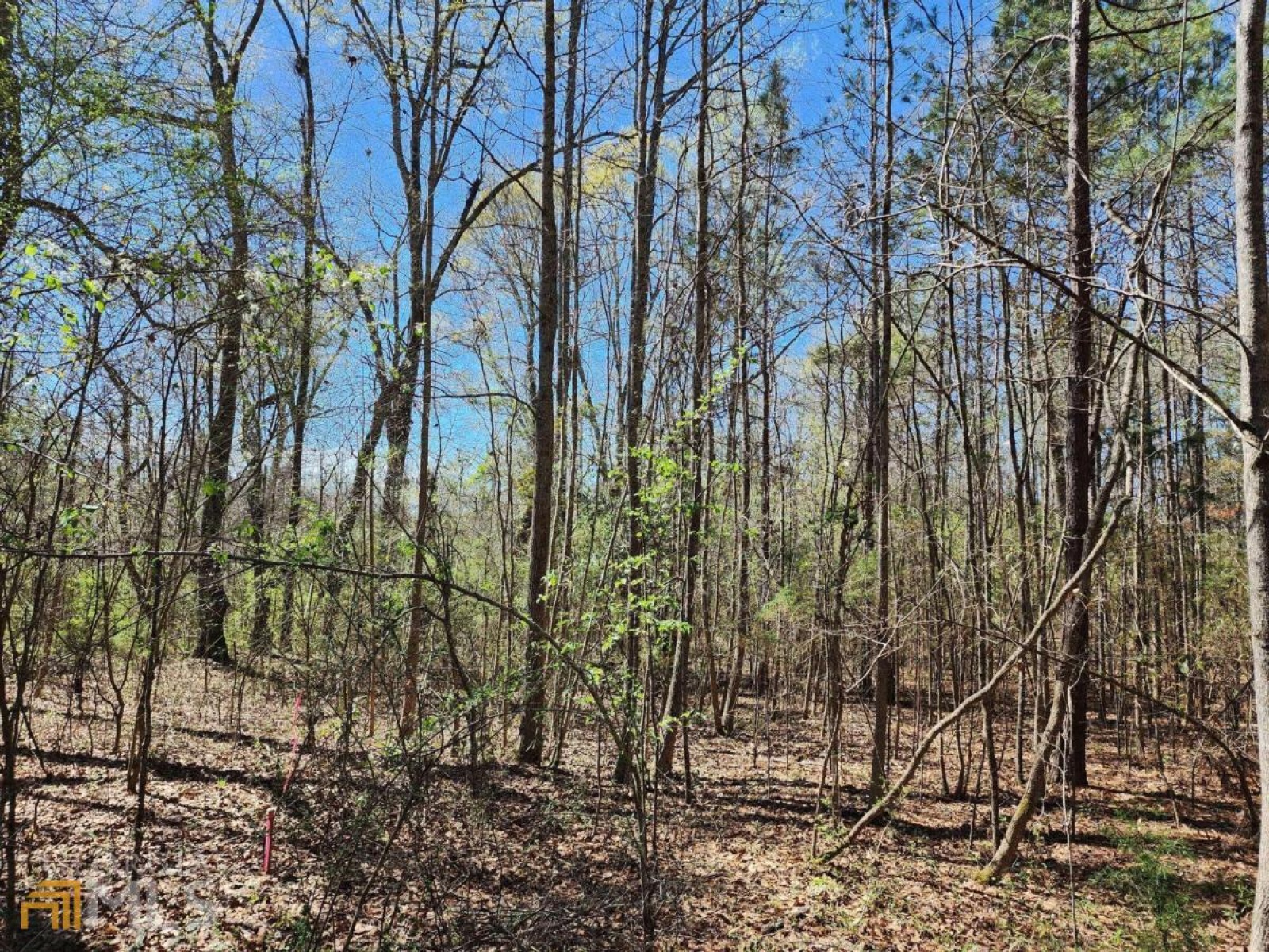 LOT 11, 12, 13 Deer Ridge Drive, Hamilton, Georgia 31811, ,Land,For Sale,Deer Ridge,9125634