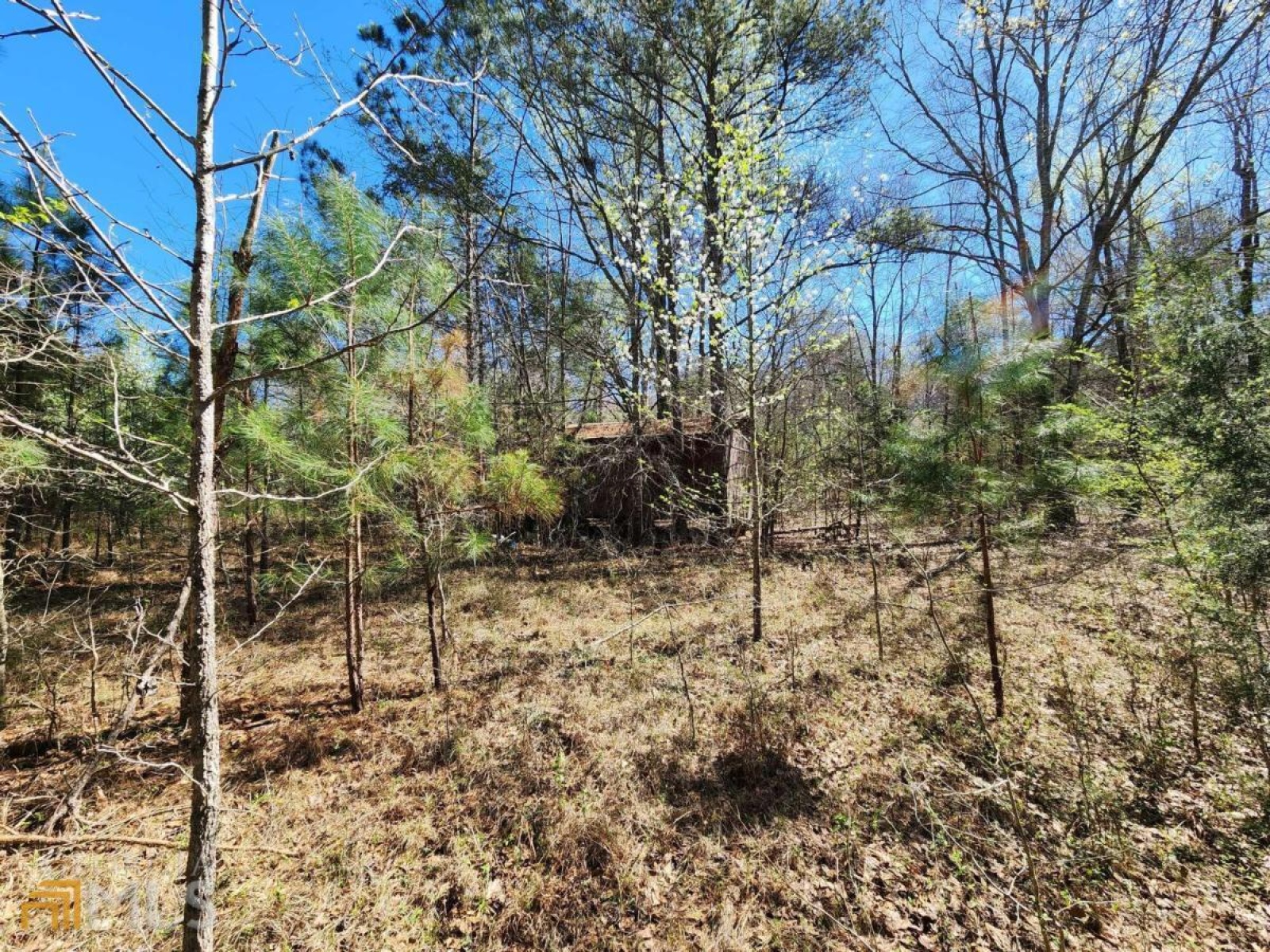 LOT 11, 12, 13 Deer Ridge Drive, Hamilton, Georgia 31811, ,Land,For Sale,Deer Ridge,9125634