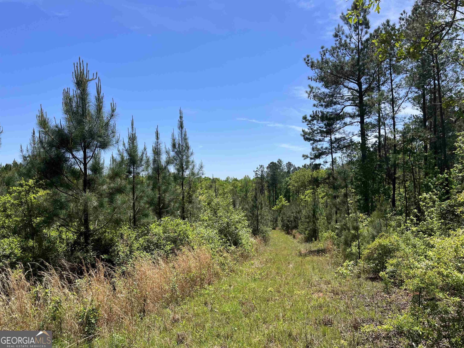 0-10 Liberty Hill Glenn Road, LaGrange, Georgia 30240, ,Land,For Sale,Liberty Hill Glenn Road,9128588