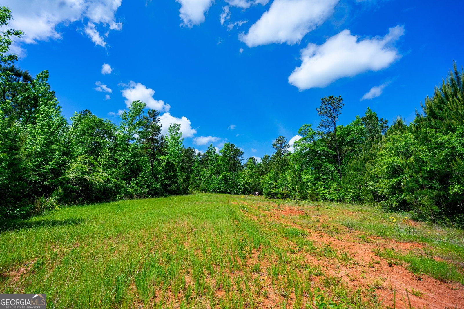 135 AC Hanson Drive, LaGrange, Georgia 30240, ,Land,For Sale,Hanson,9129137