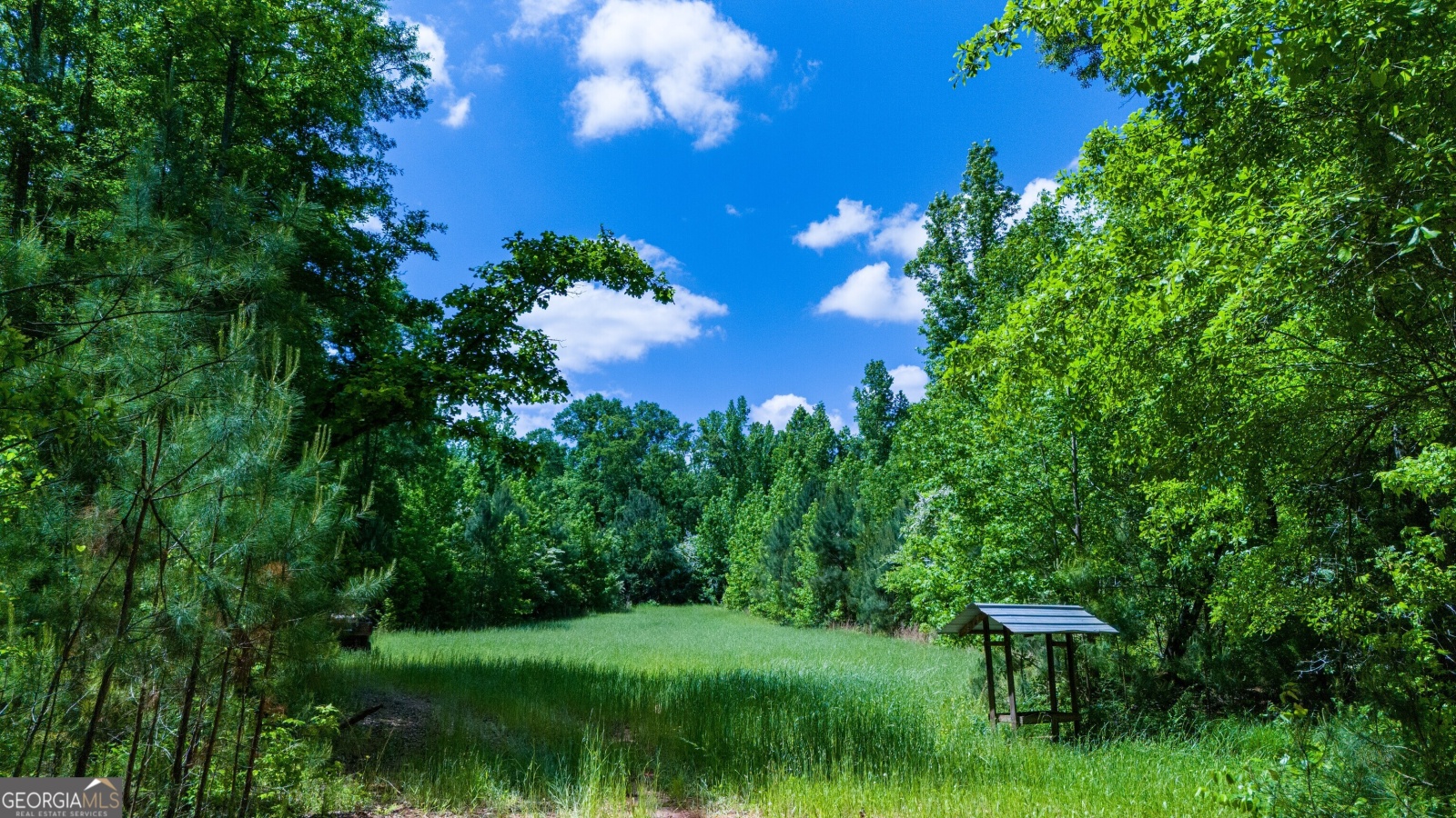 135 AC Hanson Drive, LaGrange, Georgia 30240, ,Land,For Sale,Hanson,9129137