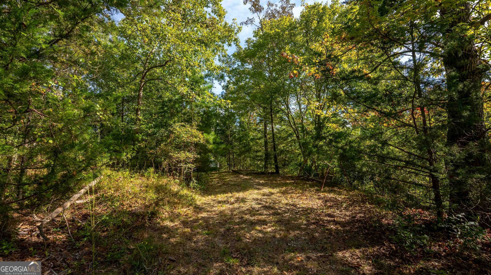 0 Lickskillet Drive, Hamilton, Georgia 31811, ,Land,For Sale,Lickskillet,9129205