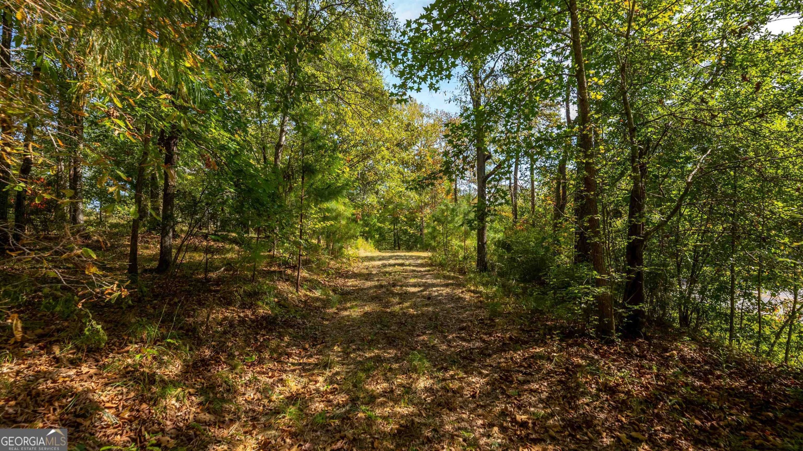 0 Lickskillet Drive, Hamilton, Georgia 31811, ,Land,For Sale,Lickskillet,9129205