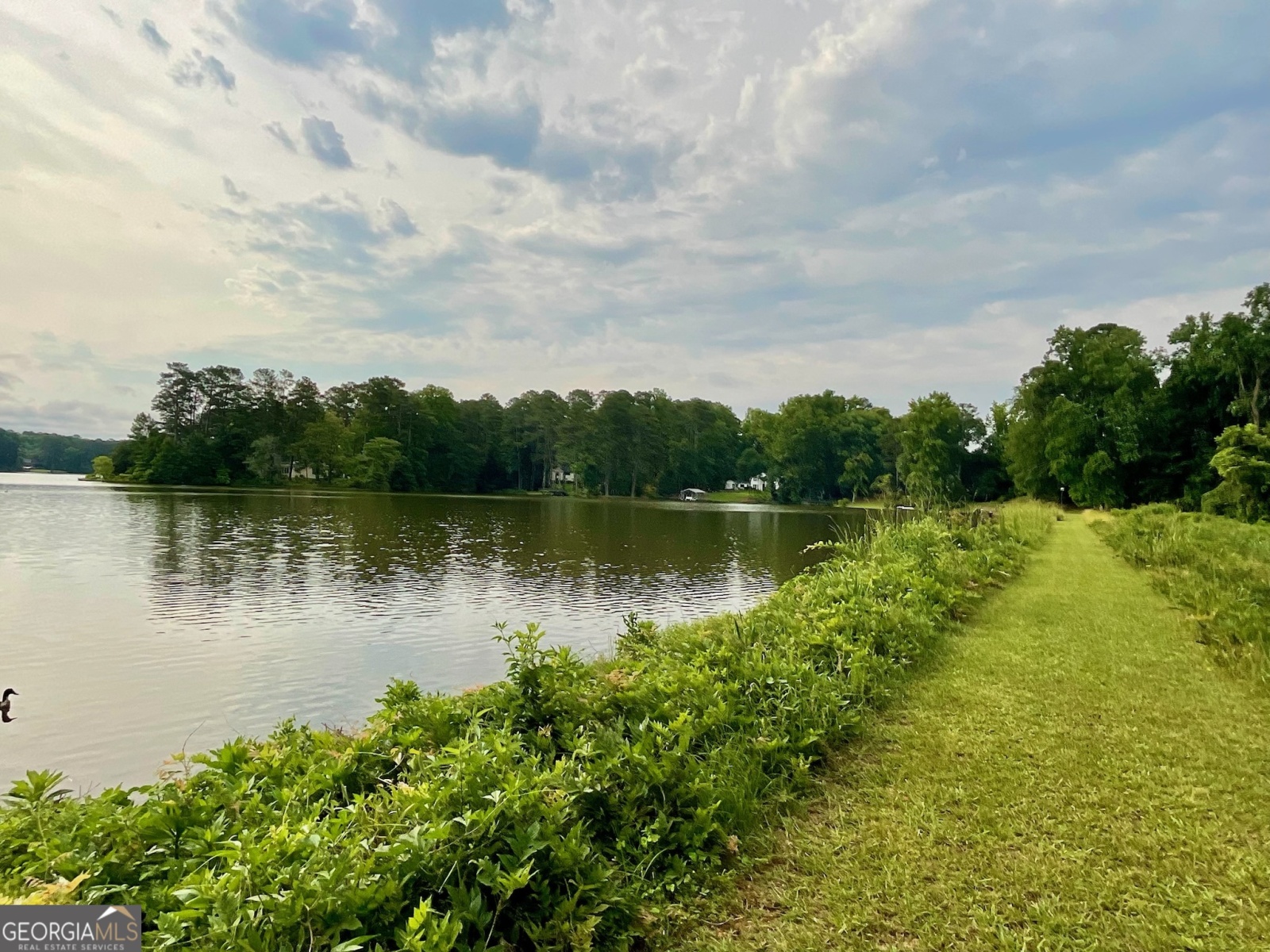 916 Country Club Road, Lagrange, Georgia 30240, ,Land,For Sale,Country Club,9131218