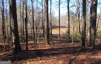 LOT 37 Dakota Trail, Fortson, Georgia 31808, ,Land,For Sale,Dakota,9131746