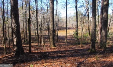 LOT 37 Dakota Trail, Fortson, Georgia 31808, ,Land,For Sale,Dakota,9131746