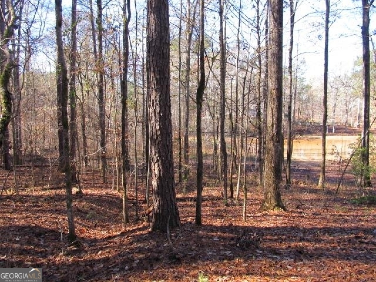 LOT 37 Dakota Trail, Fortson, Georgia 31808, ,Land,For Sale,Dakota,9131746