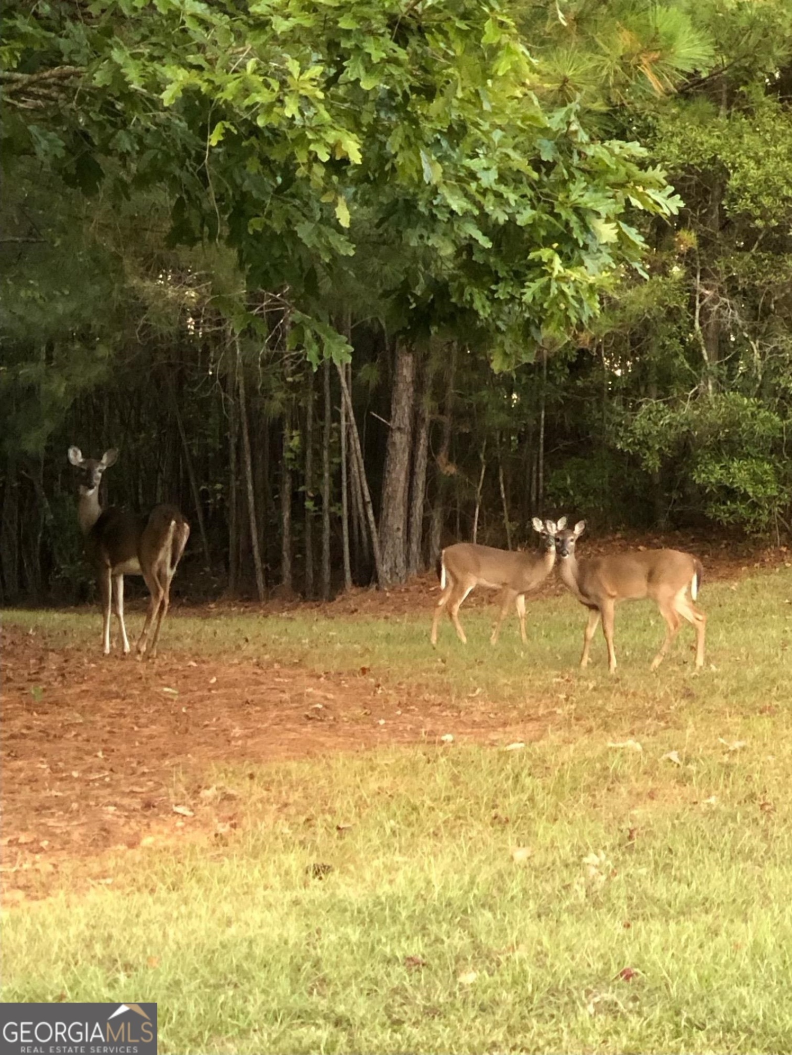 LOT 37 Dakota Trail, Fortson, Georgia 31808, ,Land,For Sale,Dakota,9131746