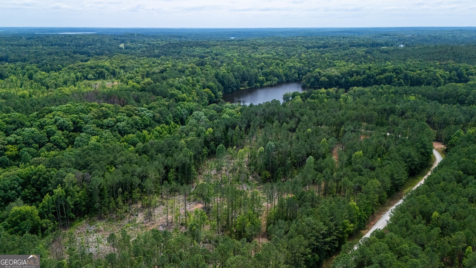 100 Holbrook Drive, Lagrange, Georgia 30240, ,Land,For Sale,Holbrook,9131904