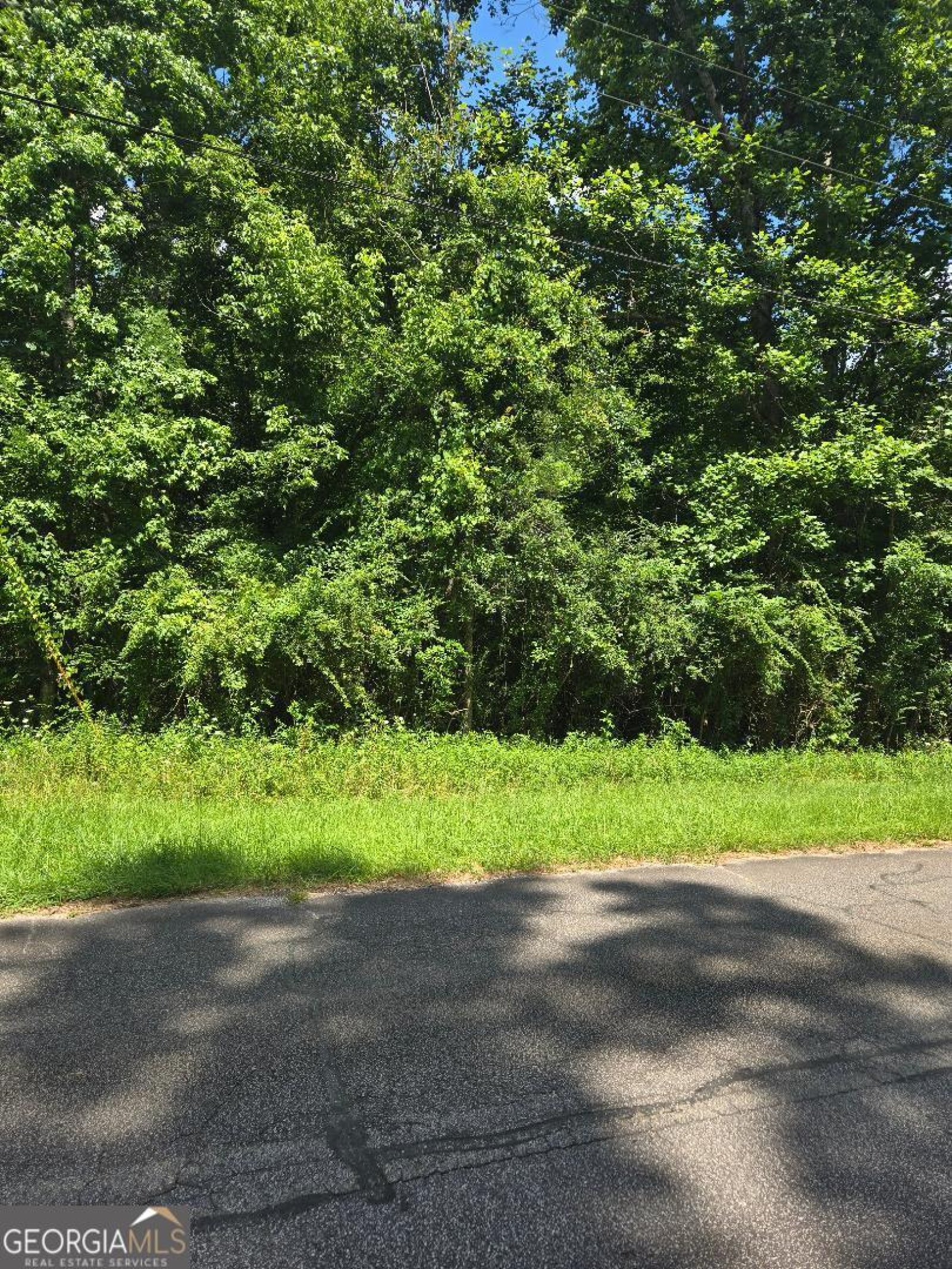 TBD Wynn Rd, Newnan, Georgia 30263, ,Land,For Sale,Wynn Rd,9131953