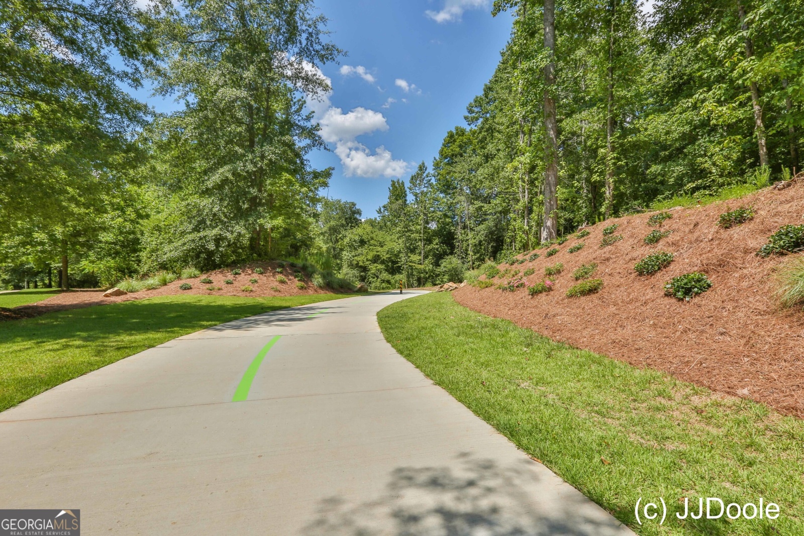 232 Horizon Hill, Newnan, Georgia 30265, 4 Bedrooms Bedrooms, ,3 BathroomsBathrooms,Residential,For Sale,Horizon,9132037