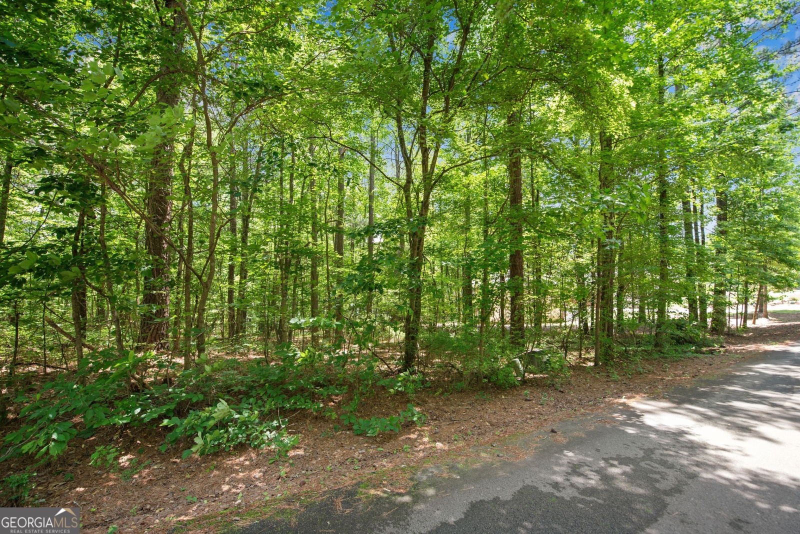 1407 Northgate Drive, Villa Rica, Georgia 30180, ,Land,For Sale,Northgate,9132084