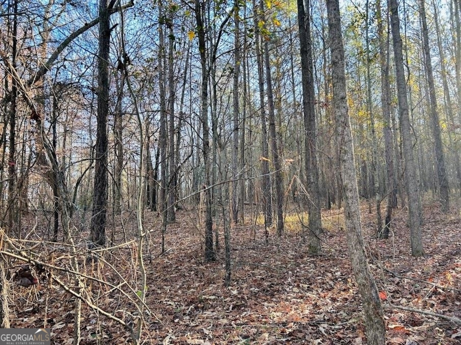 00 Rocky Mount Road, Luthersville, Georgia 30251, ,Land,For Sale,Rocky Mount Road,9132112