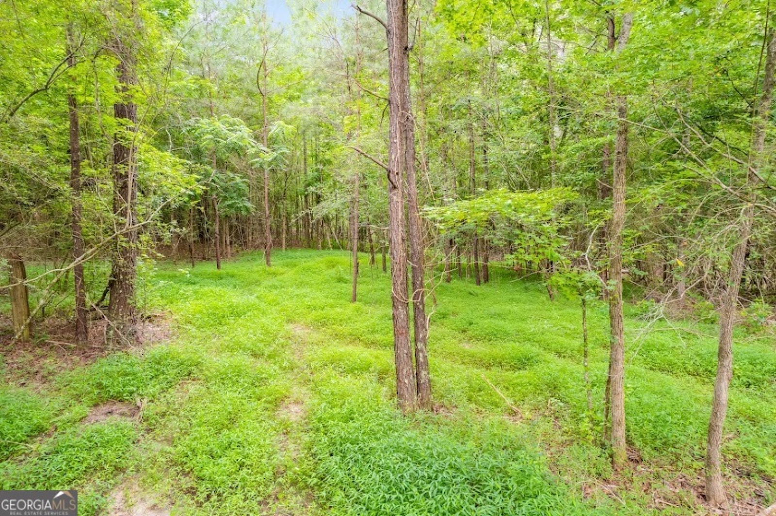 0 Handy Rd, Newnan, Georgia 30263, ,Land,For Sale,Handy Rd,9132118