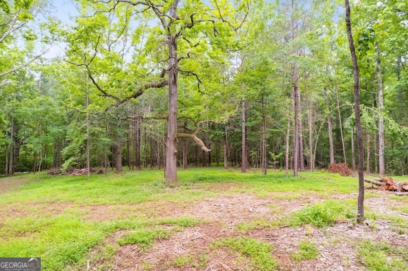 0 Handy Rd, Newnan, Georgia 30263, ,Land,For Sale,Handy Rd,9132118