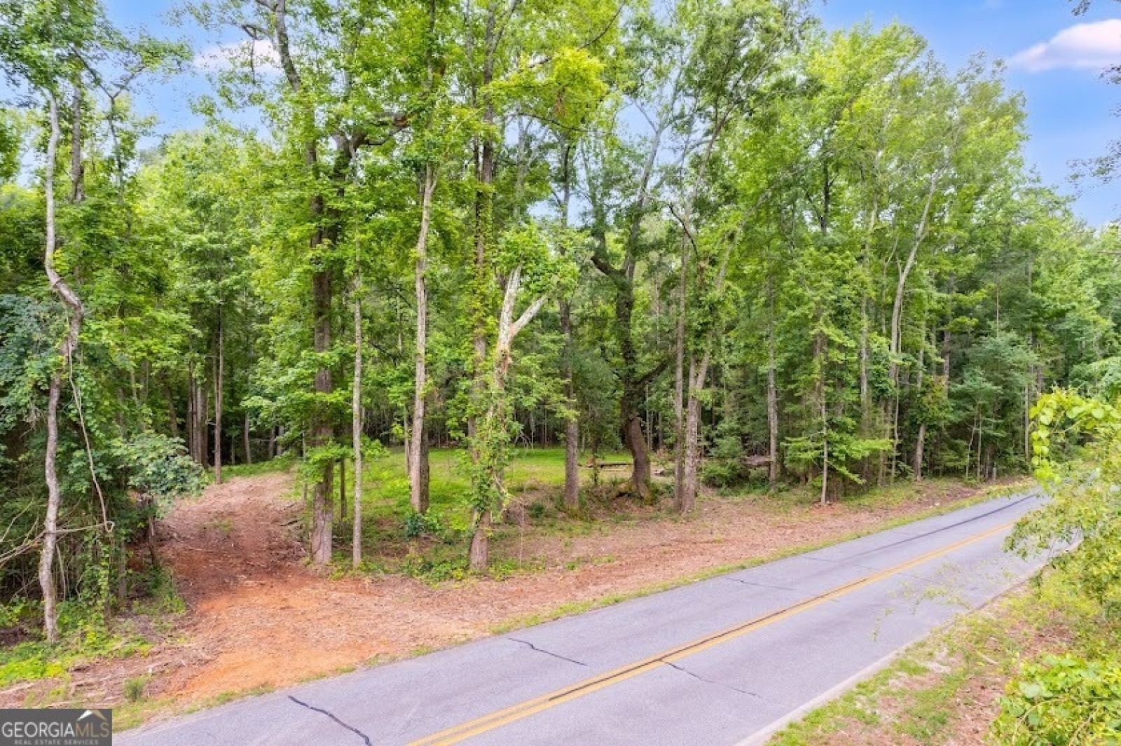 0 Handy Rd, Newnan, Georgia 30263, ,Land,For Sale,Handy Rd,9132118